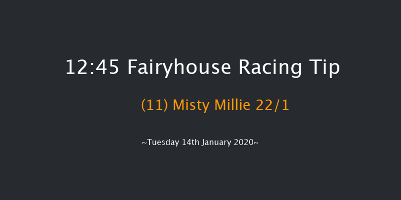 Fairyhouse 12:45 Beginners Chase 16f Sat 11th Jan 2020