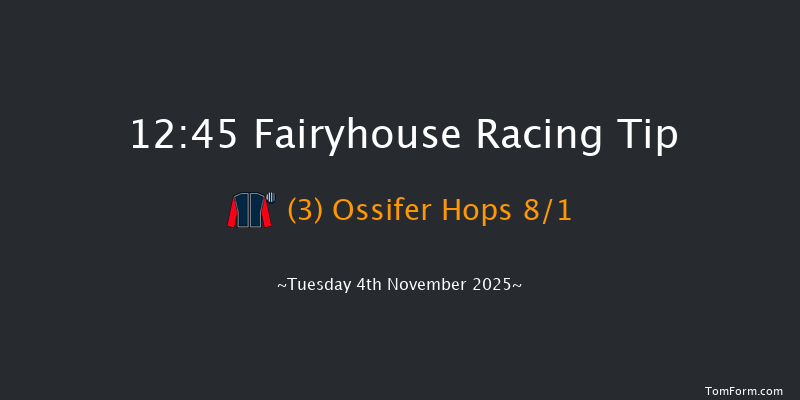 Fairyhouse 12:45 24f Sat 11th Oct 2025