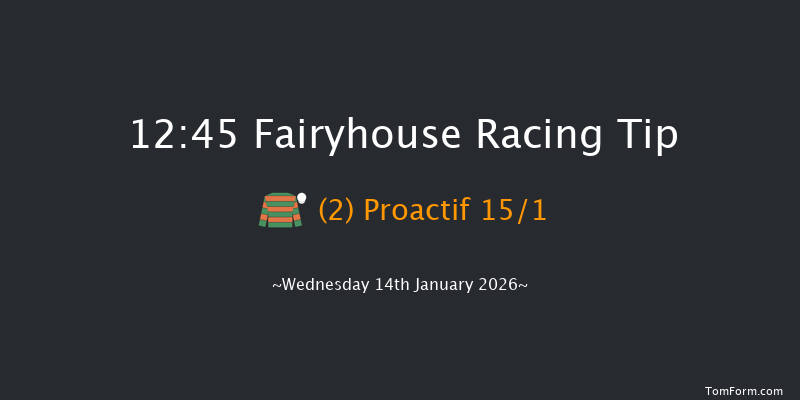 Fairyhouse 12:45 16f Thu 1st Jan 2026