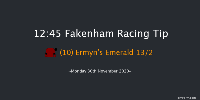 Pudding Norton Handicap Hurdle Fakenham 12:45 Handicap Hurdle (Class 5) 20f Tue 17th Nov 2020