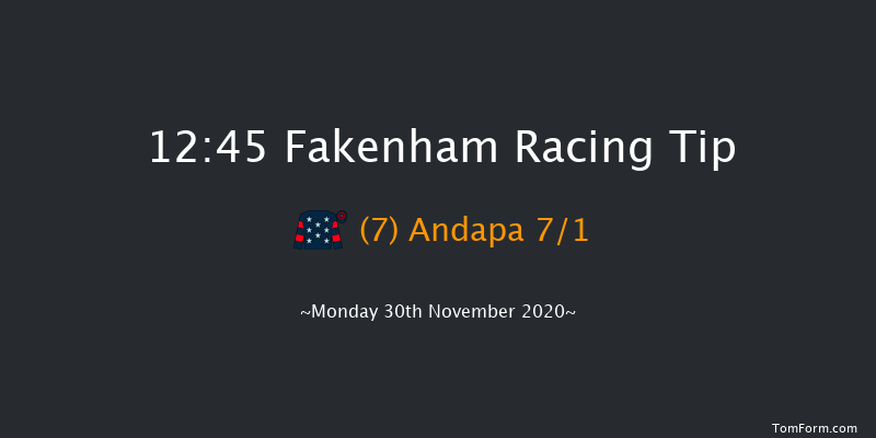 Pudding Norton Handicap Hurdle Fakenham 12:45 Handicap Hurdle (Class 5) 20f Tue 17th Nov 2020