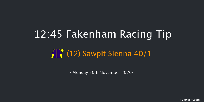 Pudding Norton Handicap Hurdle Fakenham 12:45 Handicap Hurdle (Class 5) 20f Tue 17th Nov 2020