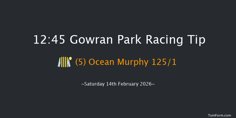 Gowran Park 12:45 16f Thu 22nd Jan 2026
