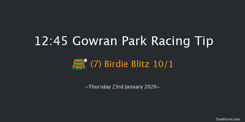 Gowran Park 12:45 Handicap Hurdle 16f Sat 23rd Nov 2019