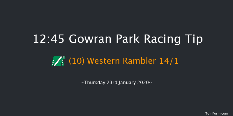 Gowran Park 12:45 Handicap Hurdle 16f Sat 23rd Nov 2019