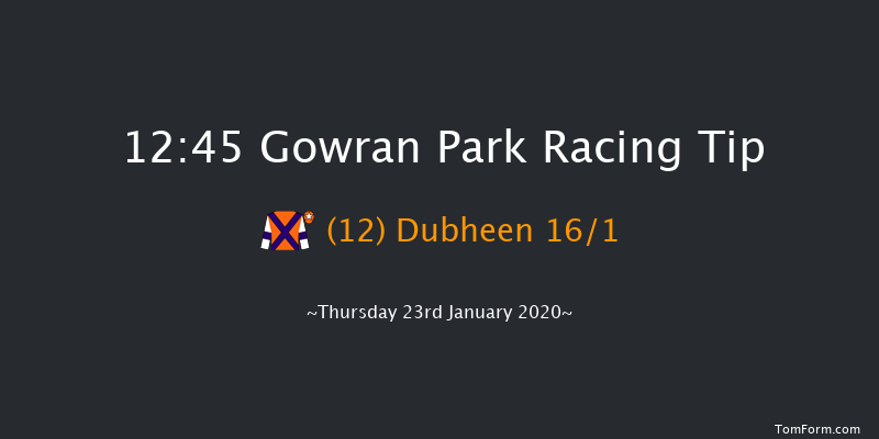 Gowran Park 12:45 Handicap Hurdle 16f Sat 23rd Nov 2019