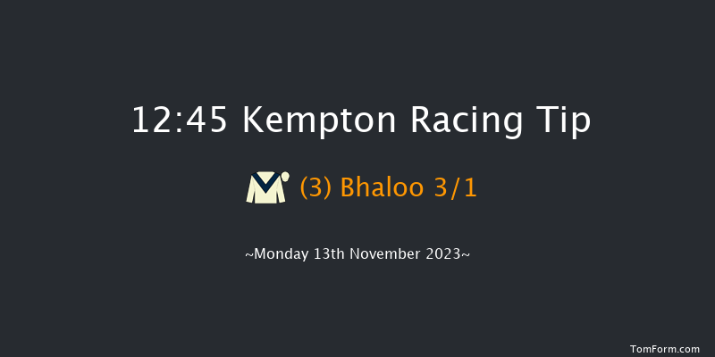 Kempton 12:45 Maiden Hurdle (Class 4) 16f Wed 8th Nov 2023
