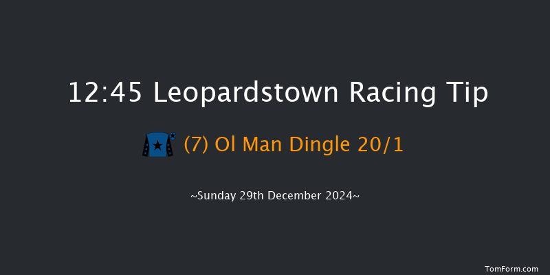 Leopardstown  12:45 Handicap Hurdle 20f Sat 28th Dec 2024