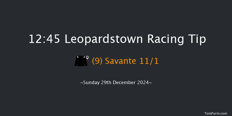 Leopardstown  12:45 Handicap Hurdle 20f Sat 28th Dec 2024