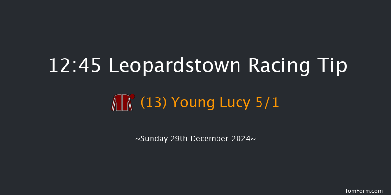 Leopardstown  12:45 Handicap Hurdle 20f Sat 28th Dec 2024