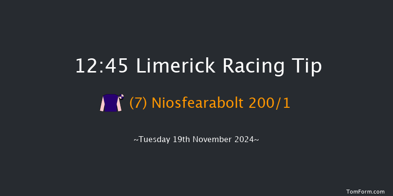 Limerick  12:45 Maiden Hurdle 16f Sun 20th Oct 2024