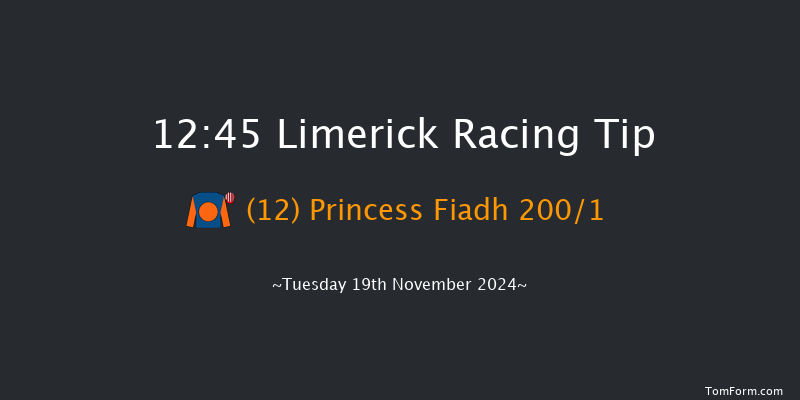 Limerick  12:45 Maiden Hurdle 16f Sun 20th Oct 2024