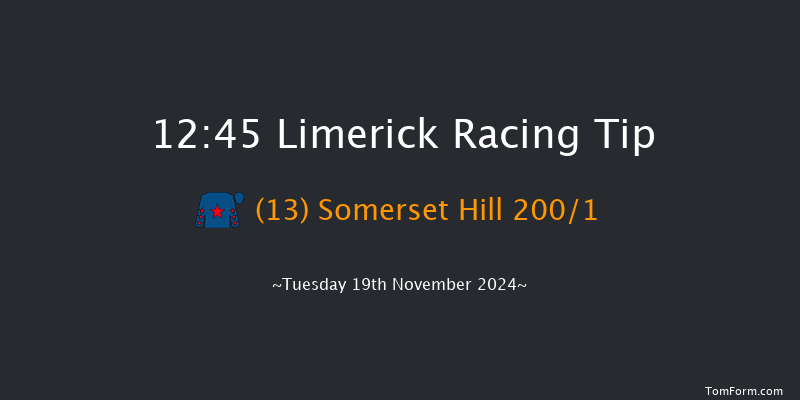 Limerick  12:45 Maiden Hurdle 16f Sun 20th Oct 2024