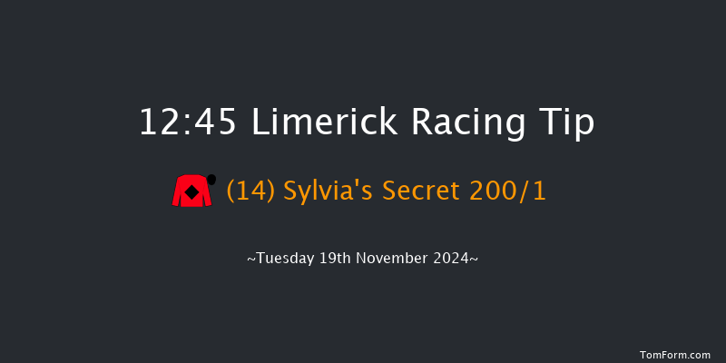 Limerick  12:45 Maiden Hurdle 16f Sun 20th Oct 2024