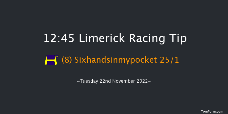 Limerick 12:45 Maiden Hurdle 16f Sun 23rd Oct 2022
