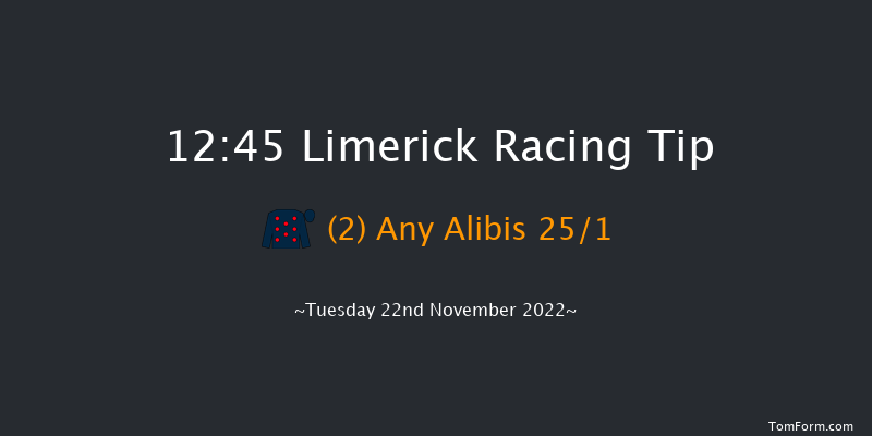 Limerick 12:45 Maiden Hurdle 16f Sun 23rd Oct 2022