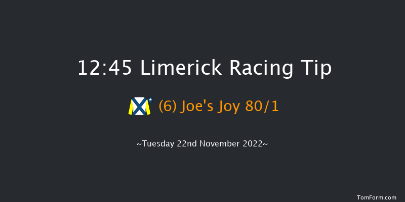 Limerick 12:45 Maiden Hurdle 16f Sun 23rd Oct 2022