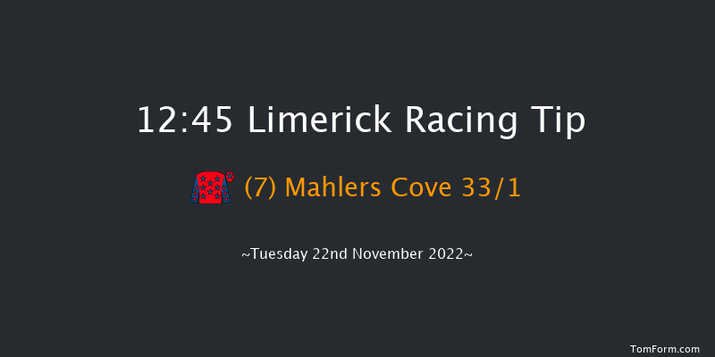 Limerick 12:45 Maiden Hurdle 16f Sun 23rd Oct 2022