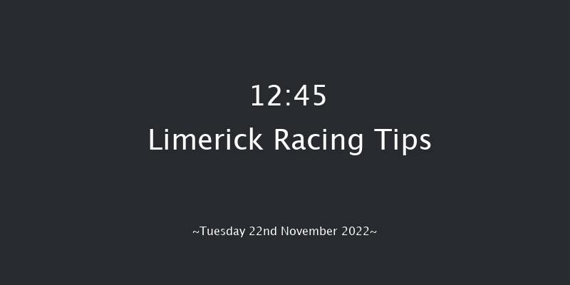Limerick 12:45 Maiden Hurdle 16f Sun 23rd Oct 2022