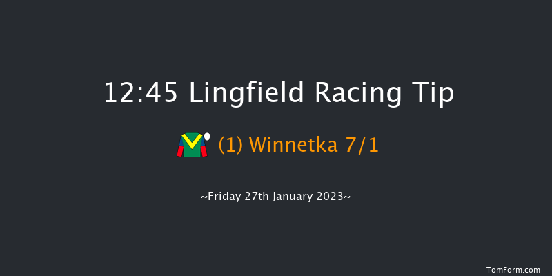 Lingfield 12:45 Handicap (Class 6) 7f Sat 21st Jan 2023