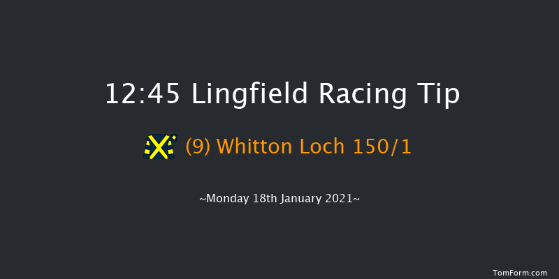 Visit attheraces.com Standard Open NH Flat Race (GBB Race) Visit attheraces.com Standard Open NH Flat Race (Class 5) Sat 16th Jan 2021