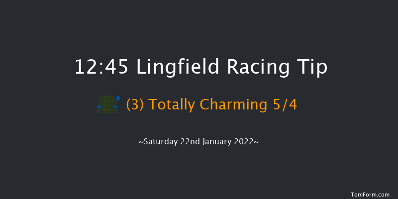 Lingfield 12:45 Handicap (Class 4) 10f Fri 21st Jan 2022