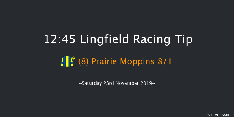 Lingfield 12:45 Seller (Class 6) 8f Tue 19th Nov 2019