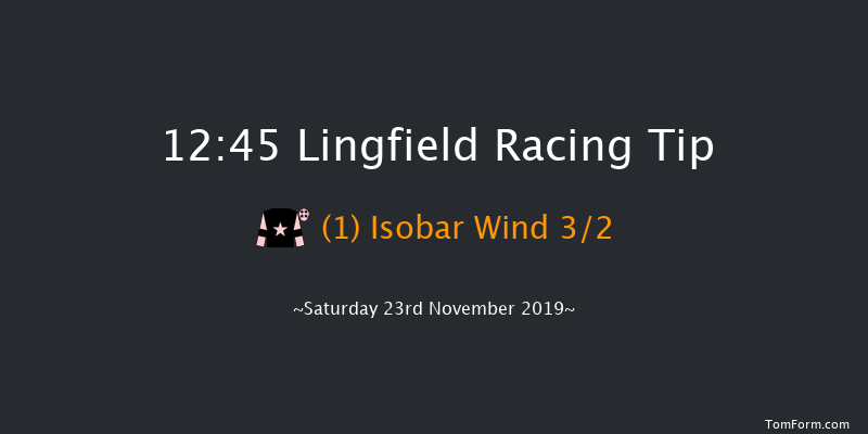 Lingfield 12:45 Seller (Class 6) 8f Tue 19th Nov 2019