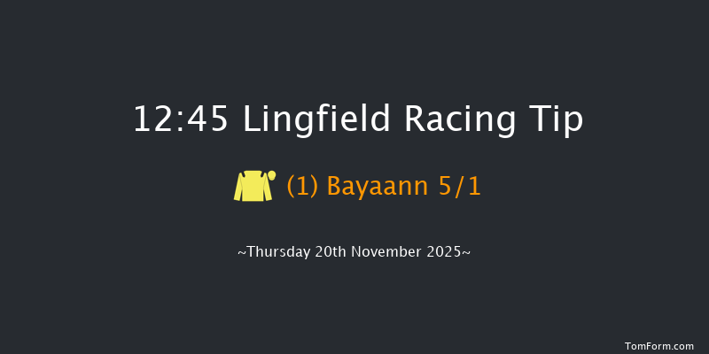 Lingfield 12:45 (Class 4) 7f Tue 18th Nov 2025