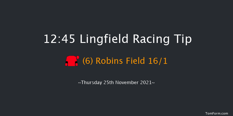 Lingfield 12:45 Handicap Chase (Class 5) 24f Sat 20th Nov 2021