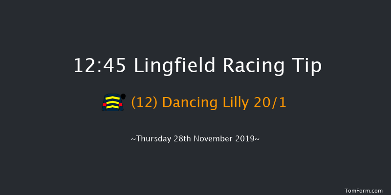 Lingfield 12:45 Handicap (Class 6) 16f Sat 23rd Nov 2019