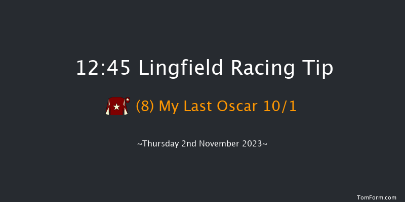 Lingfield 12:45 Handicap Hurdle (Class 4) 23f Wed 1st Nov 2023