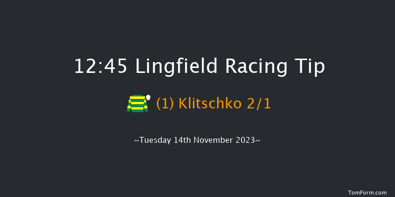 Lingfield 12:45 Handicap Hurdle (Class 4) 16f Tue 7th Nov 2023