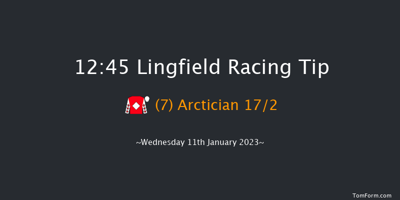 Lingfield 12:45 Handicap (Class 5) 8f Sat 7th Jan 2023