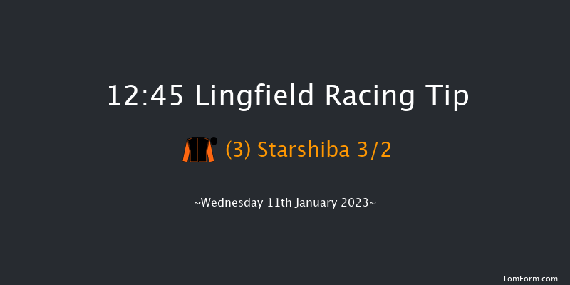 Lingfield 12:45 Handicap (Class 5) 8f Sat 7th Jan 2023