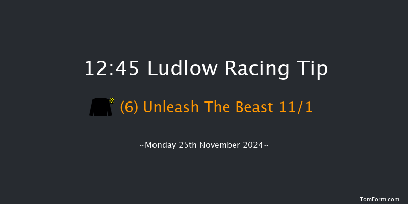 Ludlow  12:45 Maiden Hurdle (Class 4) 16f Thu 7th Nov 2024