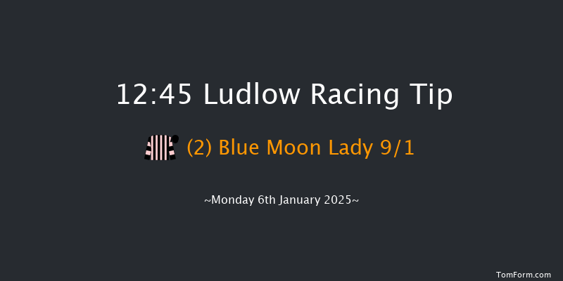 Ludlow  12:45 Conditions Hurdle (Class 4) 16f Wed 18th Dec 2024