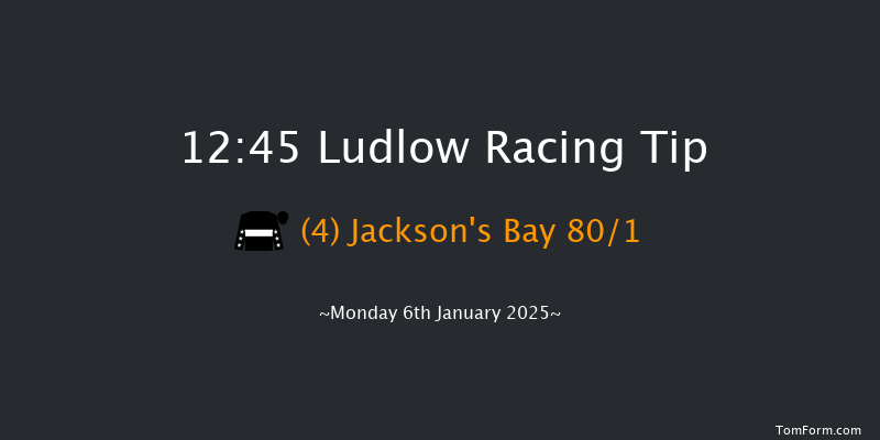 Ludlow  12:45 Conditions Hurdle (Class 4) 16f Wed 18th Dec 2024