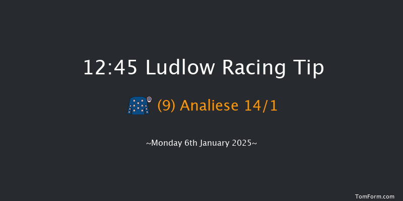 Ludlow  12:45 Conditions Hurdle (Class 4) 16f Wed 18th Dec 2024