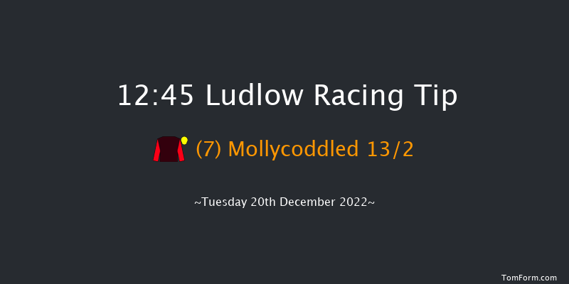 Ludlow 12:45 Conditions Hurdle (Class 4) 16f Wed 30th Nov 2022