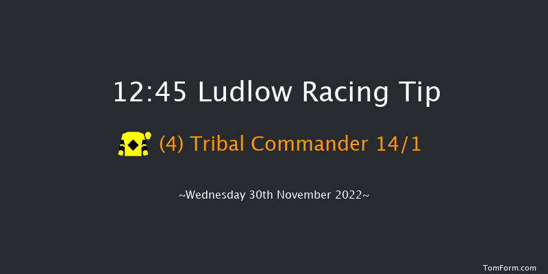 Ludlow 12:45 Claiming Hurdle (Class 4) 16f Mon 21st Nov 2022