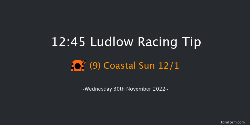 Ludlow 12:45 Claiming Hurdle (Class 4) 16f Mon 21st Nov 2022