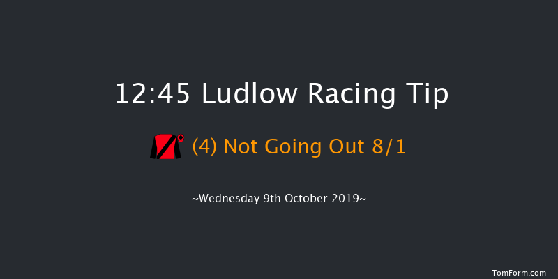 Ludlow 12:45 Maiden Hurdle (Class 4) 21f Thu 1st Jan 1970