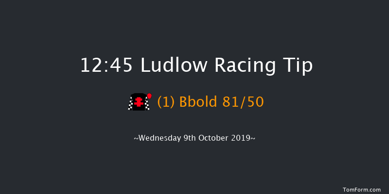 Ludlow 12:45 Maiden Hurdle (Class 4) 21f Thu 1st Jan 1970