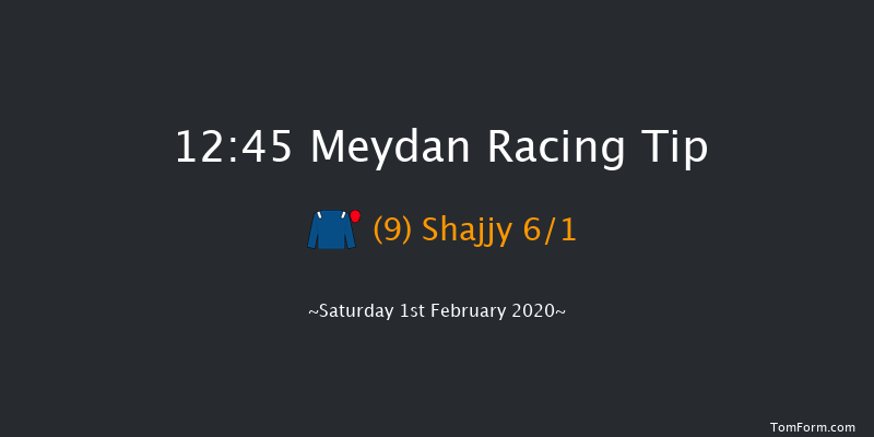 Meydan 12:45 6f 16 run Emirates NBD Private Banking Handicap - Turf Thu 30th Jan 2020