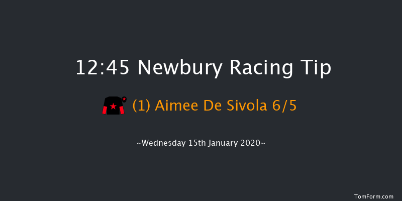 Newbury 12:45 Novices Hurdle (Class 4) 20f Sat 28th Dec 2019