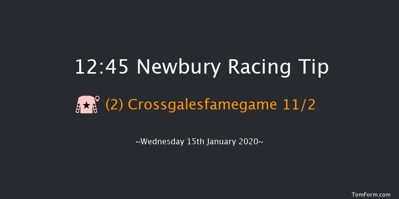 Newbury 12:45 Novices Hurdle (Class 4) 20f Sat 28th Dec 2019