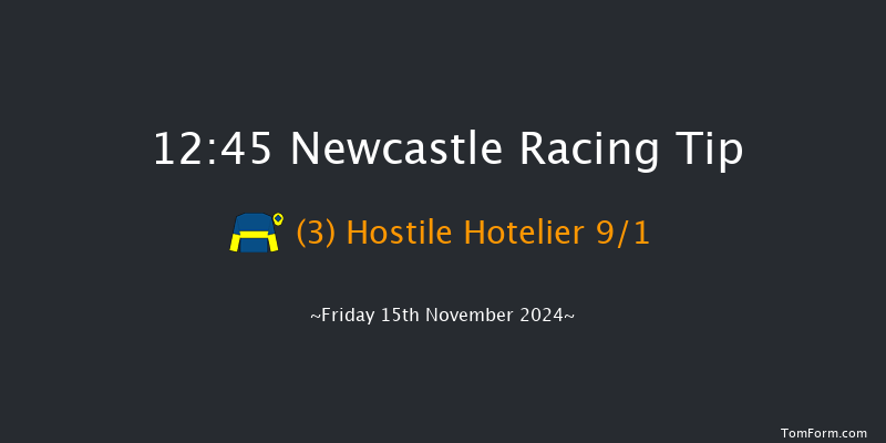 Newcastle  12:45 Handicap Hurdle (Class 4) 24f  Mon 11th Nov 2024
