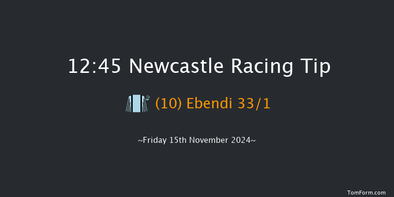 Newcastle  12:45 Handicap Hurdle (Class 4) 24f  Mon 11th Nov 2024