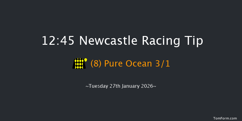 Newcastle 12:45 (Class 5) 16f Sat 24th Jan 2026